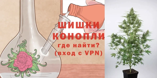apvp Арсеньев