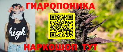 a pvp Чебоксары