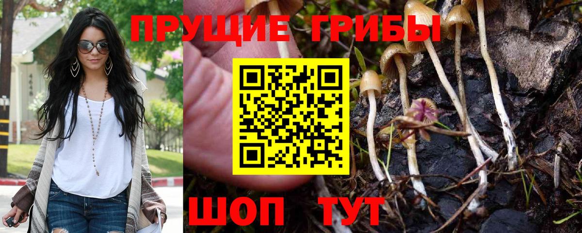 Псилоцибиновые грибы мицелий  Вход с VPN  Асбест 